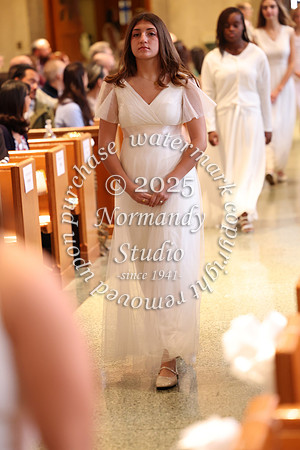 MSM_jr_ring_mass_059