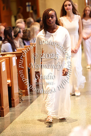 MSM_jr_ring_mass_060