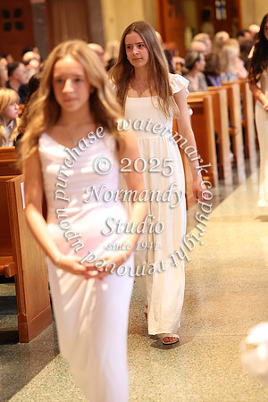 MSM_jr_ring_mass_063