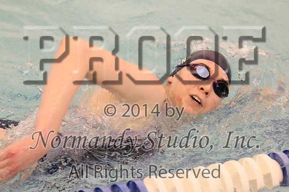 WMC_234_sw-g