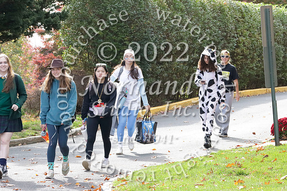 MSM_halloween_42