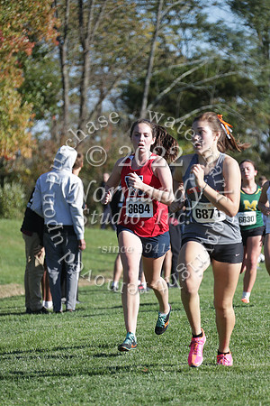 MSM_cc-g_29