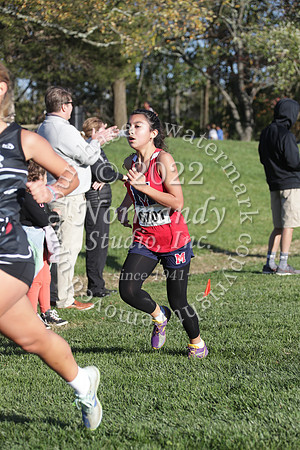 MSM_cc-g_43