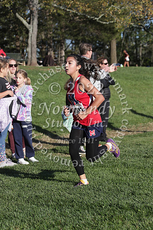 MSM_cc-g_44