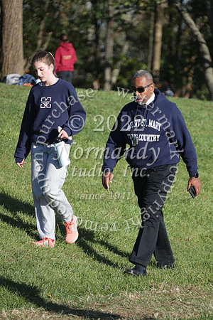 MSM_cc-g_53
