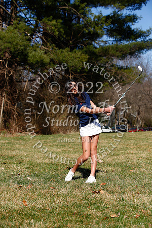 WMM_39_go-g