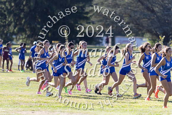 WHS_cc-g_04