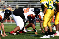 SVL_fb-f_18