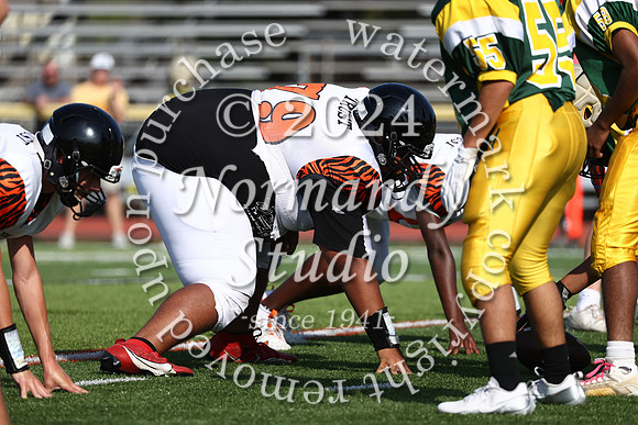 SVL_fb-f_18