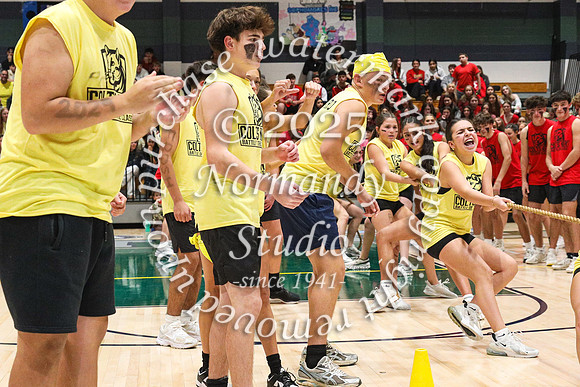 CNH_botc_45
