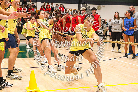 CNH_botc_48