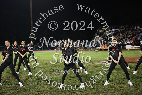 MNP_dt_29
