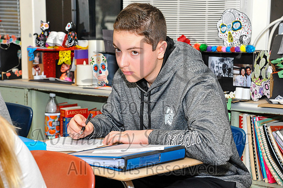 WHS_055_slc