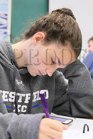 WHS_033_slc