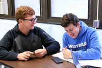 WHS_027_slc