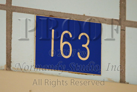 WHS_029_slc