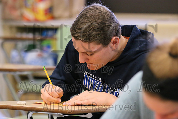 WHS_036_slc