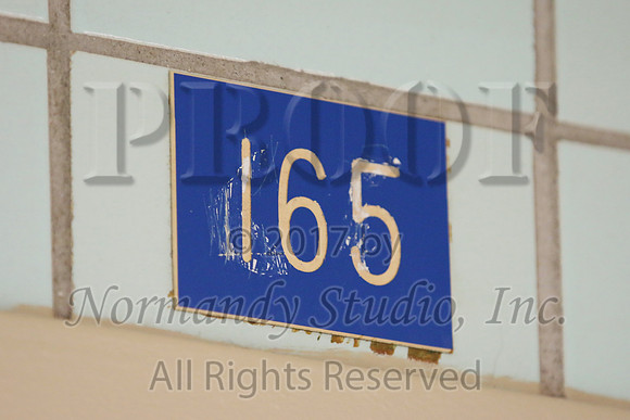 WHS_001_slc