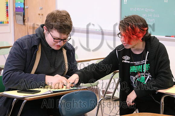 WHS_041_slc