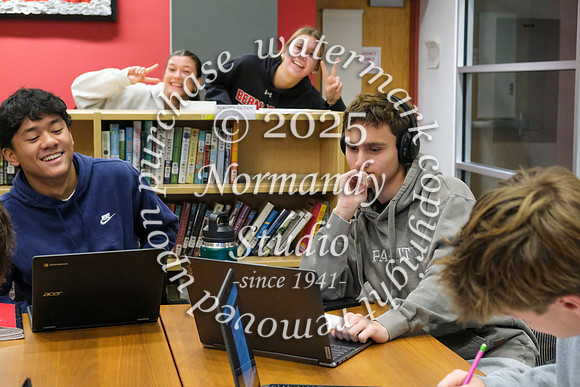 BER_slc_13