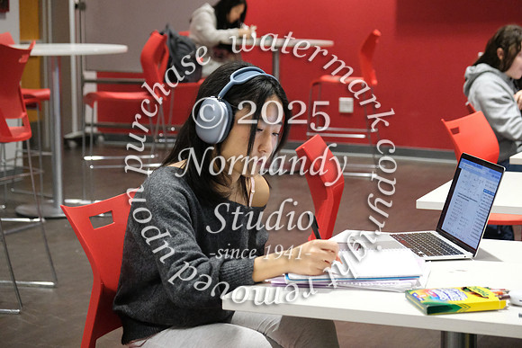 BER_slc_04