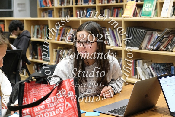 BER_slc_06