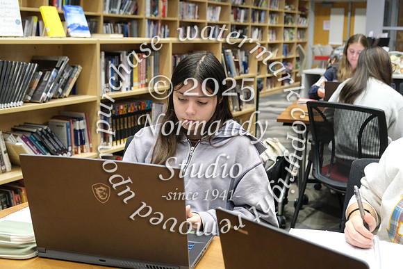 BER_slc_08