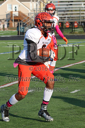SVL_fb-j_055