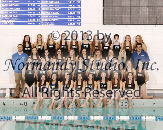 WHS_14_sw-t