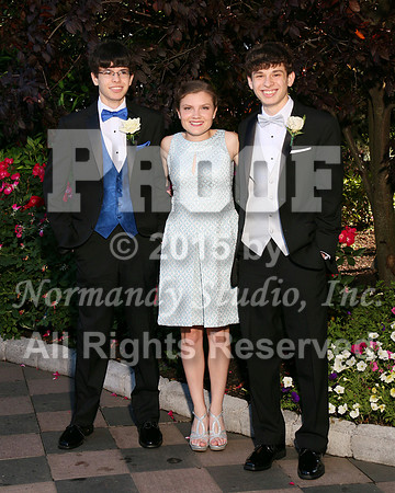WHS_001_prom.portraits