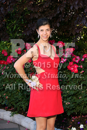 WHS_010_prom.portraits