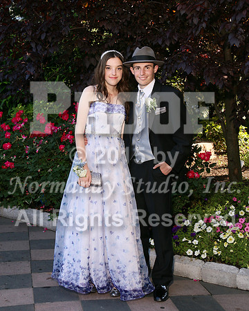 WHS_013_prom.portraits