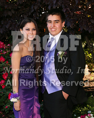 WHS_018_prom.portraits