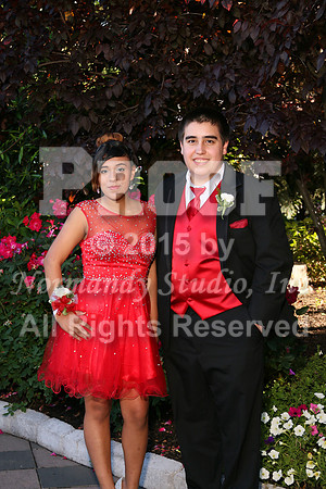 WHS_021_prom.portraits