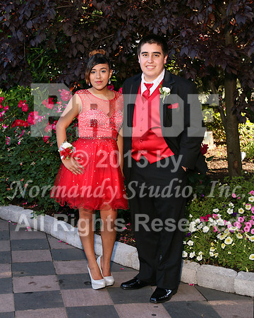 WHS_022_prom.portraits