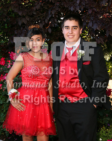 WHS_023_prom.portraits