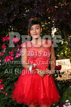 WHS_025_prom.portraits