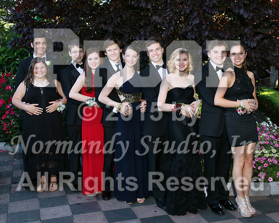 WHS_050_prom.portraits