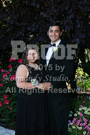 WHS_060_prom.portraits