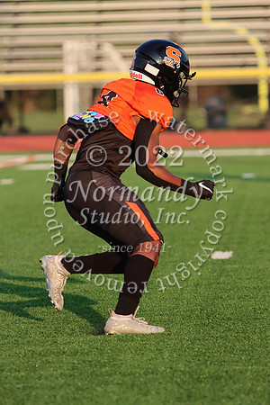 SVL_fb_37
