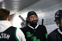 RDG_ih_04