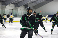 RDG_ih_16
