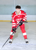 BER-SVL_ih-ind_06
