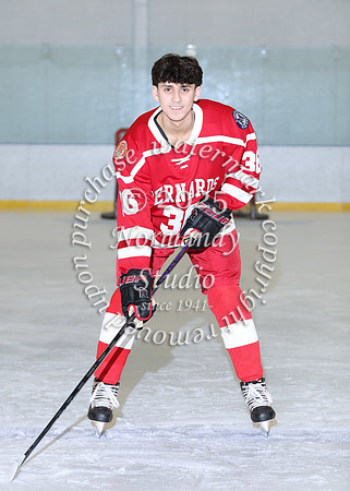 BER-SVL_ih-ind_06