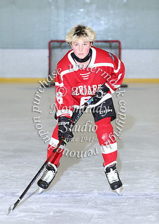 BER-SVL_ih-ind_05