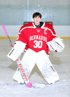 BER-SVL_ih-ind_04