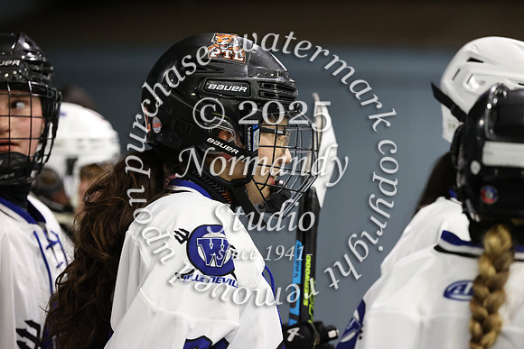 WHS_ih_16