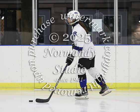 WHS_ih_33