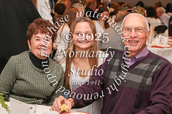 MSM_tea_24