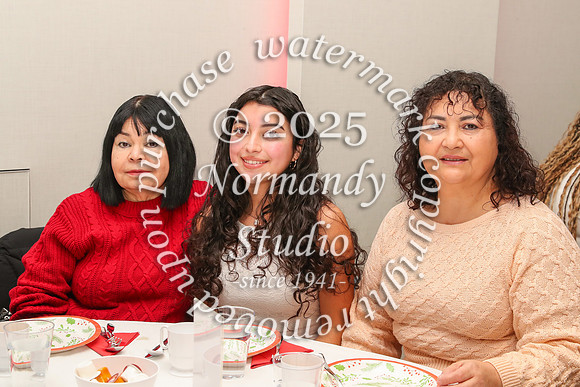 MSM_tea_41